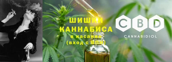 мдпв Снежинск