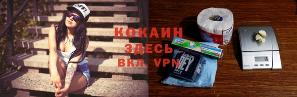 мдпв Снежинск