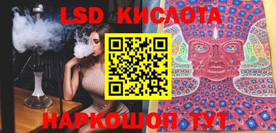стаф Кингисепп
