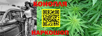 стаф Кингисепп