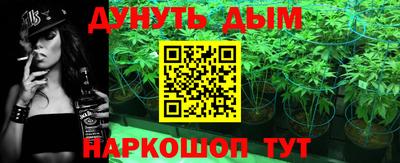 стаф Кингисепп