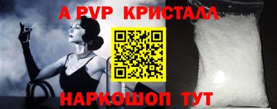 стаф Кингисепп
