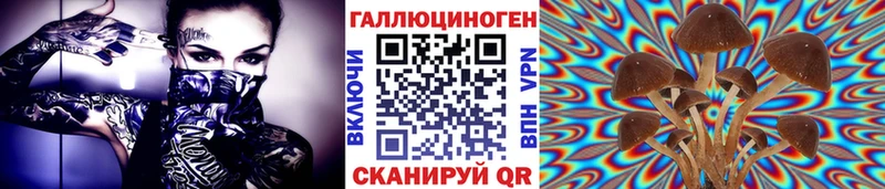 Галлюциногенные грибы Psilocybine cubensis  Сланцы 