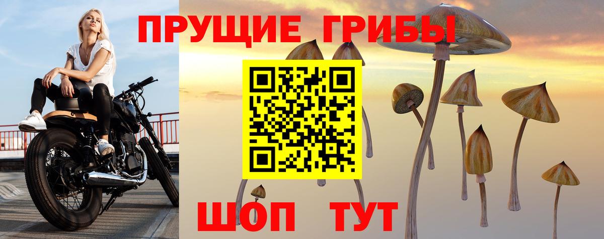 Сланцы  Псилоцибиновые грибы мухоморы  Вход с VPN 