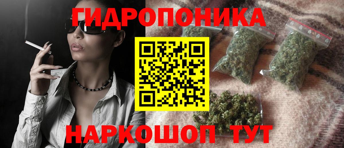Конопля White Widow Сланцы